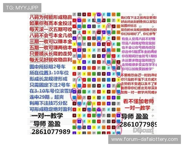 揭秘幸运飞艇玩法技巧与策略，助你轻松掌握极速博弈的获胜秘诀