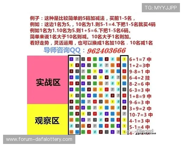 掌握幸运十一选五投注技巧与号码走势规律提升中奖稳定性的实战方法